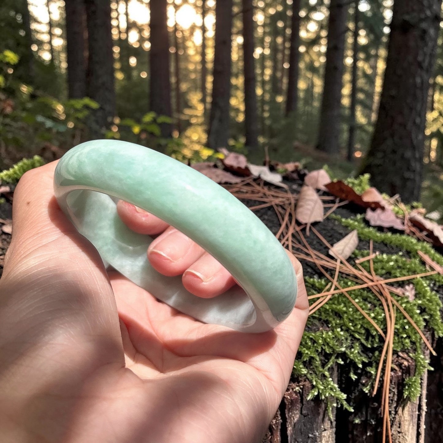 Myanmar jadeite thick bangle 61mm, round Shape, translucent full green Jadeite