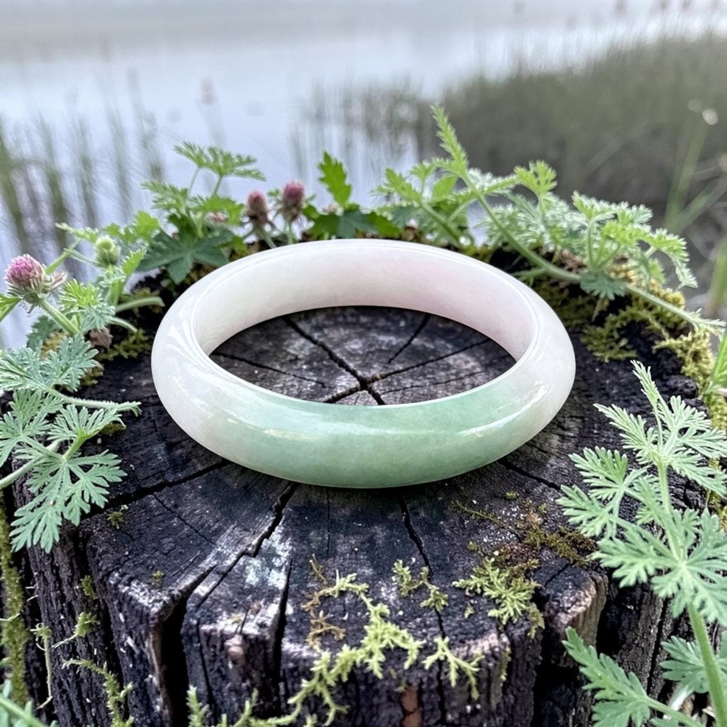 Myanmar jadeite bangle fits 55-56, spring color, pink Lilac Faint Green, Certified Grade A Jade, Burmese Gemstone Jewelry 58x51x14mm oval